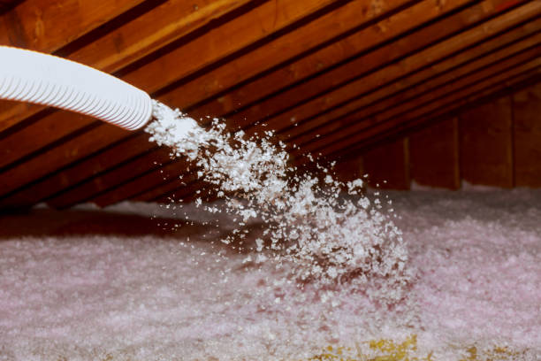 Best Types of Insulation in Rancho Murieta, CA